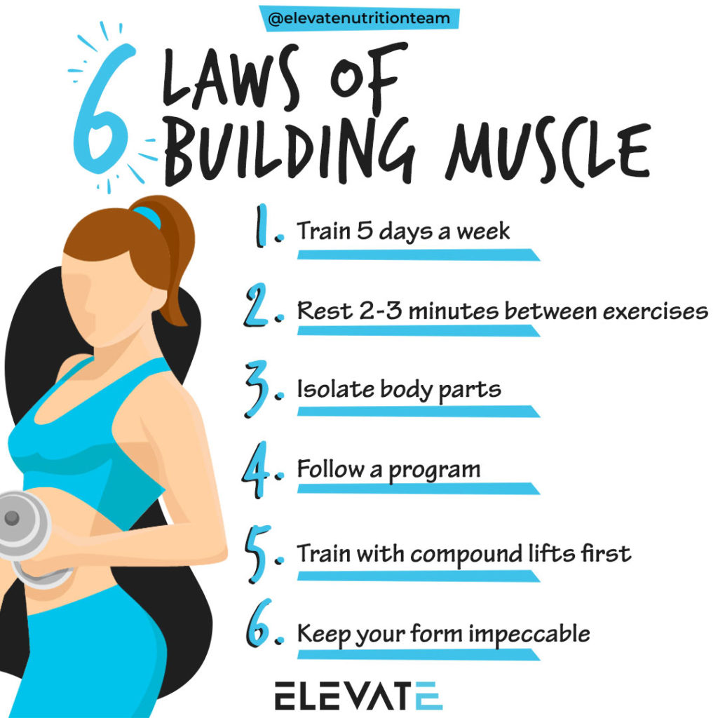 6 Important Laws of Muscle Building