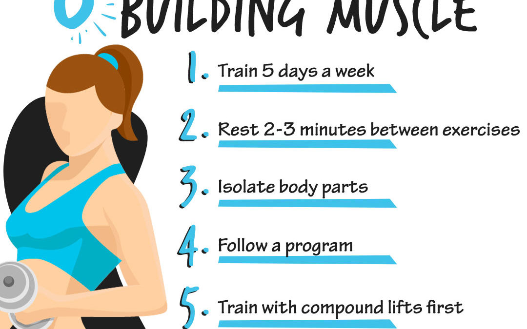 6 Important Laws of Muscle Building