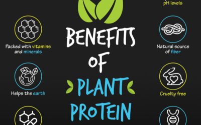 Benefits of Plant Protein