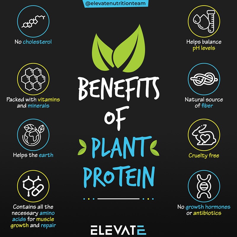 Benefits of Plant Protein Elevate Nutrition