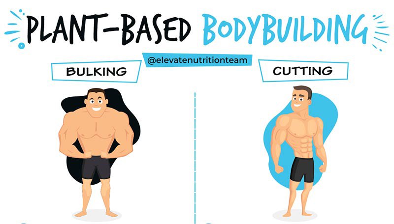 A Guide to Bulking and Cutting for Plant-Based Athletes