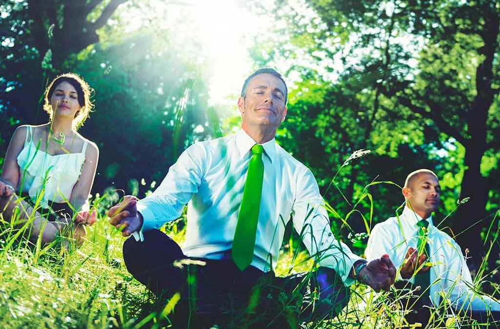 Meditation: Gaining an Edge in Business, Fitness, and Health