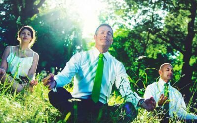 Meditation: Gaining an Edge in Business, Fitness, and Health