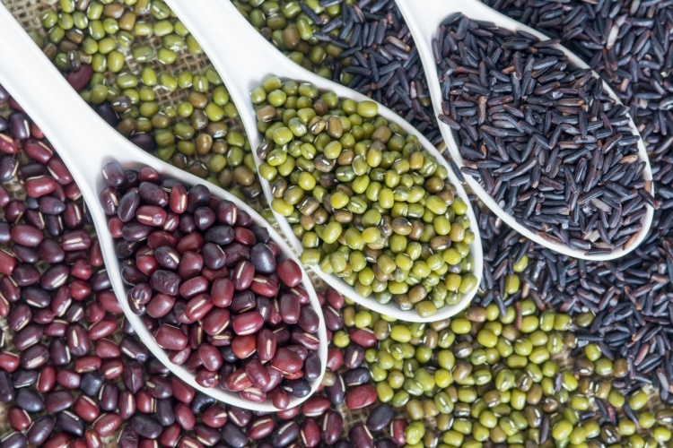 plant proteins alternatives to whey